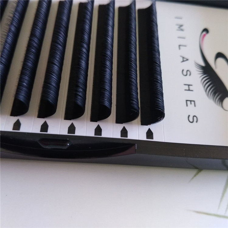 easy fan volume lashes.jpg